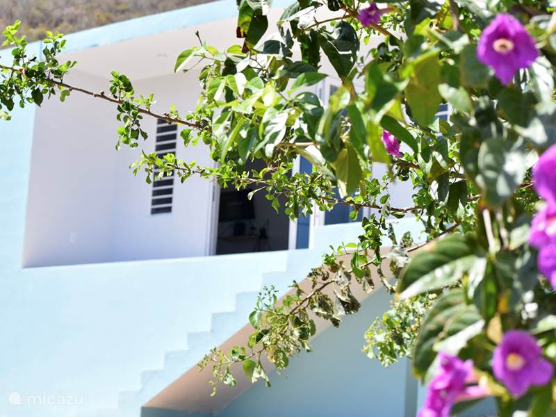 Vakantiehuis Curaçao, Banda Abou (west), Westpunt Bungalow Strandhuis, Villa Santirome / FreeWifi