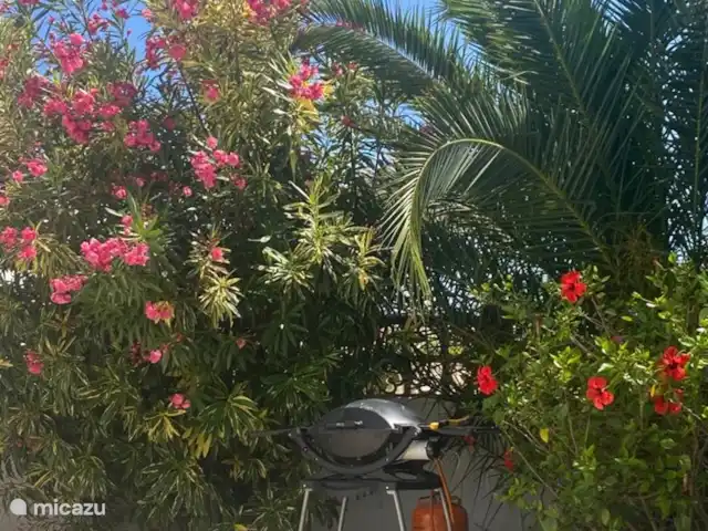 Casa Soláz | Espagne, Costa Blanca, Moraira - maison de vacances Jardin de la Casa Solaz