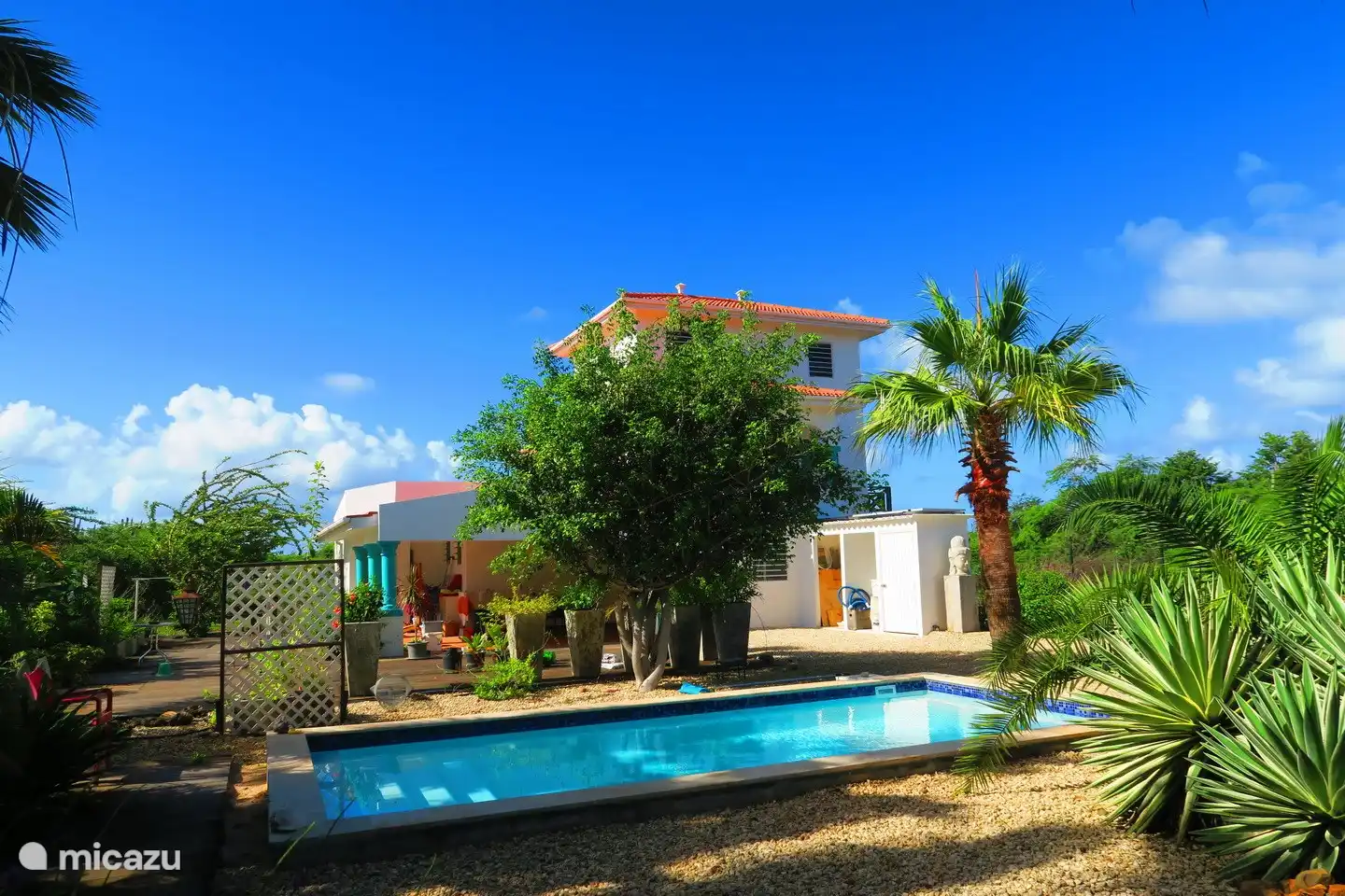 Swimmingpool von 7 x 3,5.