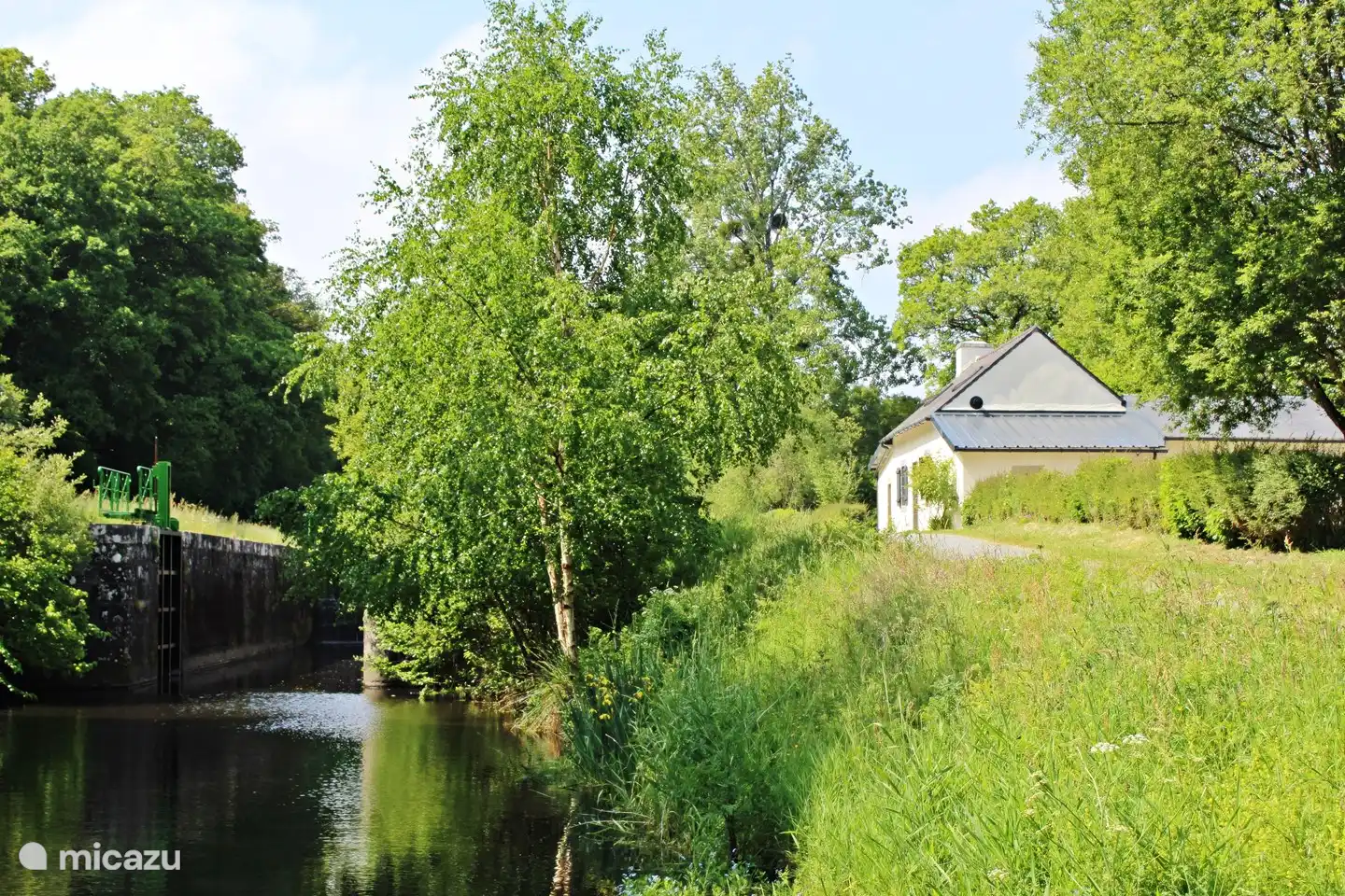 aaan het water, tussen het groen