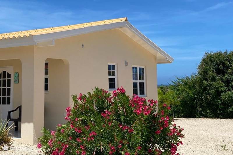 Vakantiehuis Curaçao, Banda Ariba (oost), Santa Catharina Bungalow CuraXperience Bungalow 8