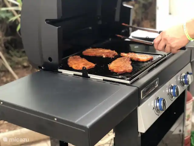 Oleander 505 huren in Frankrijk, Côte d´Azur, Roquebrune-sur-Argens - chalet Lekker buiten met de BBQ