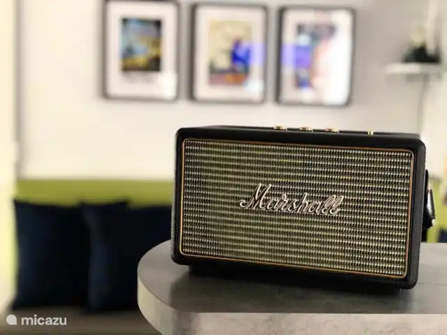 Oleander 505 huren in Frankrijk, Côte d´Azur, Roquebrune-sur-Argens - chalet Bluetooth speaker