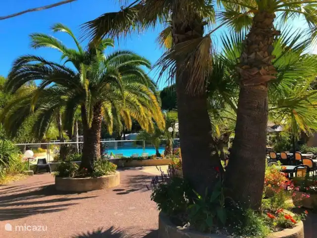 Oleander 505 huren in Frankrijk, Côte d´Azur, Roquebrune-sur-Argens - chalet Zwembad / terras restaurant