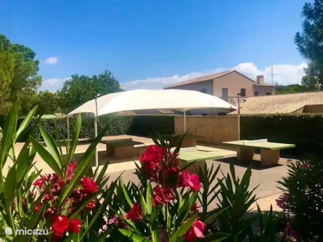 Oleander 505 huren in Frankrijk, Côte d´Azur, Roquebrune-sur-Argens - chalet Tafeltennis