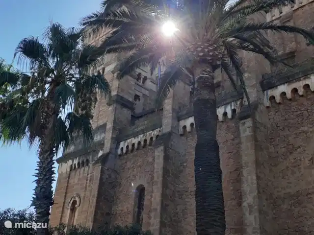 Oleander 505 huren in Frankrijk, Côte d´Azur, Roquebrune-sur-Argens - chalet Zelfs met je ogen dicht maak je hier mooie foto's