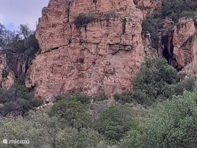 Oleander 505 huren in Frankrijk, Côte d´Azur, Roquebrune-sur-Argens - chalet