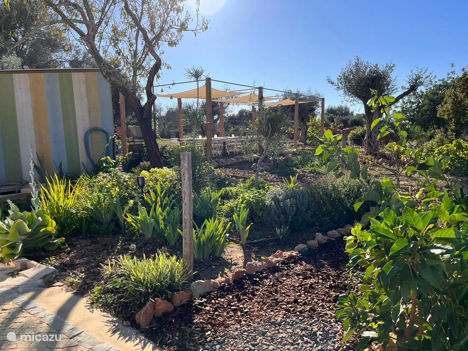 garden and communal dining table