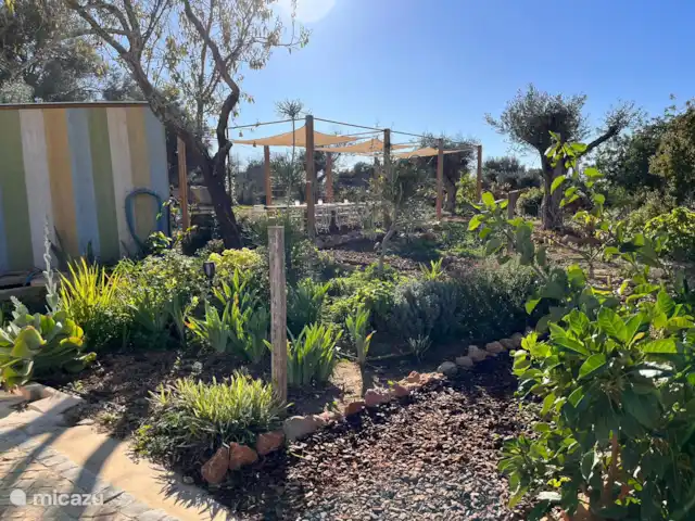 Location de Vacances Portugal, Algarve, Moncarapacho, maison mitoyenne - Maison Franko Table de jardin et de salle à manger commune