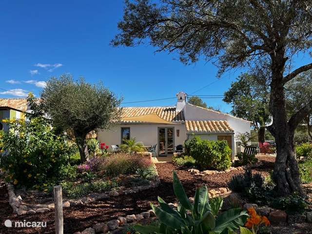 Vakantiehuis Portugal, Algarve, Moncarapacho – geschakelde woning Casa Frango