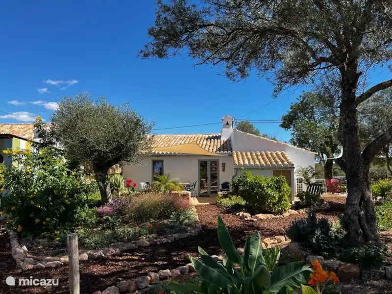 Casa Frango huren in Portugal, Algarve, Moncarapacho - Geschakelde woning Casa Frango huren in Portugal, Algarve, Moncarapacho - Geschakelde woning