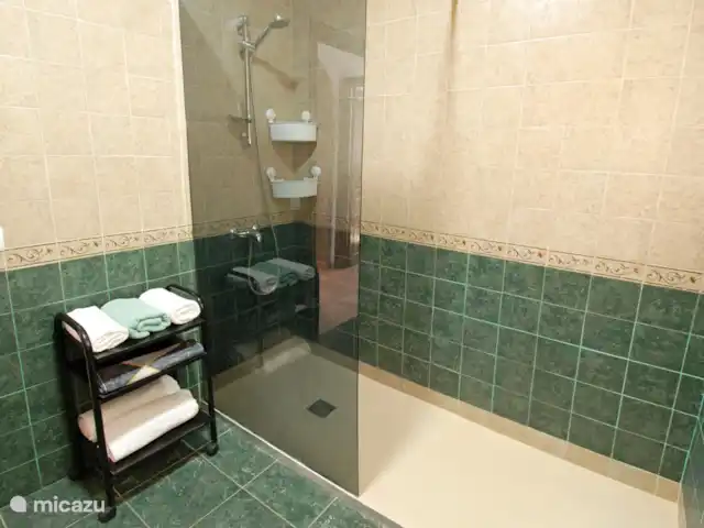 Casa Avila huren in Spanje, Costa del Sol, Comares - vakantiehuis Al ons badlinnen is nieuw.