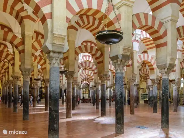 Casa Avila huren in Spanje, Costa del Sol, Comares - vakantiehuis De Mezquita is uniek in de wereld. Een kathedraal gebouwd in een moskee.