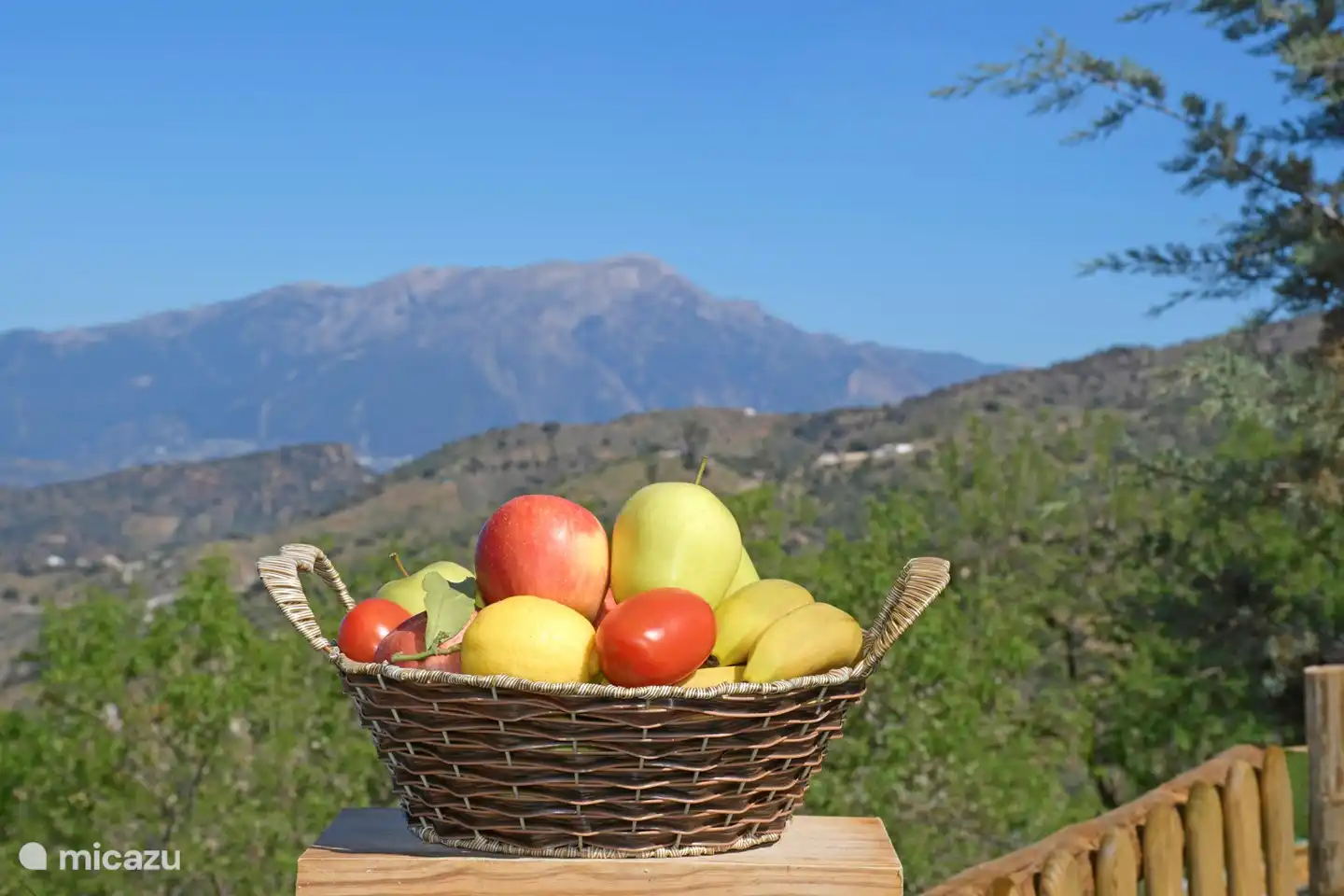 Geniet van het leven en van de natuur. 