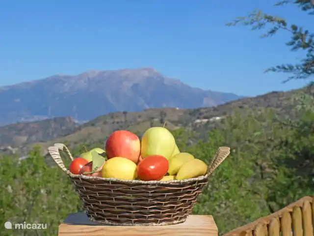 Casa Avila huren in Spanje, Costa del Sol, Comares - vakantiehuis Geniet van het leven en van de natuur.