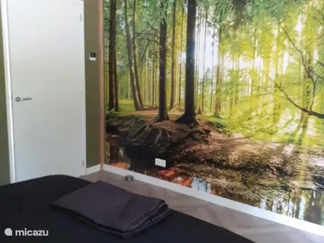 Wandelen, Nederland, Gelderland, Epe, vakantiehuis het Ooievaarsnest