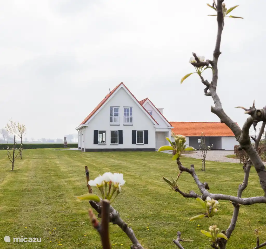Belvedere Groede