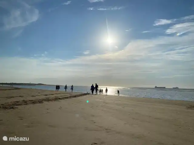 Belvédère Groede | Pays-Bas, Zélande, Groede - maison de vacances Plage Grède
