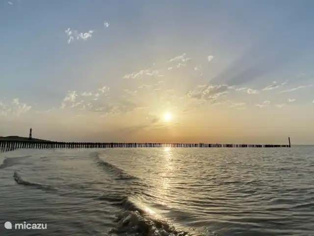 Belvédère Groede | Pays-Bas, Zélande, Groede - maison de vacances Plage Grède