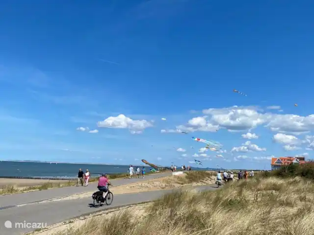 Belvédère Groede | Pays-Bas, Zélande, Groede - maison de vacances Plage Grède