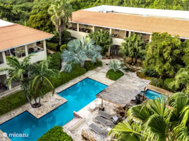 apartamento en Curazao, Banda Arriba (este), Cas Grandi – Acogedor Apartamento Cocobana Piscina compartida