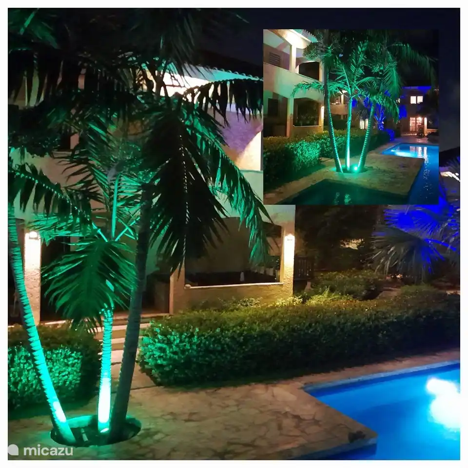 At night the resort is beautifully lit