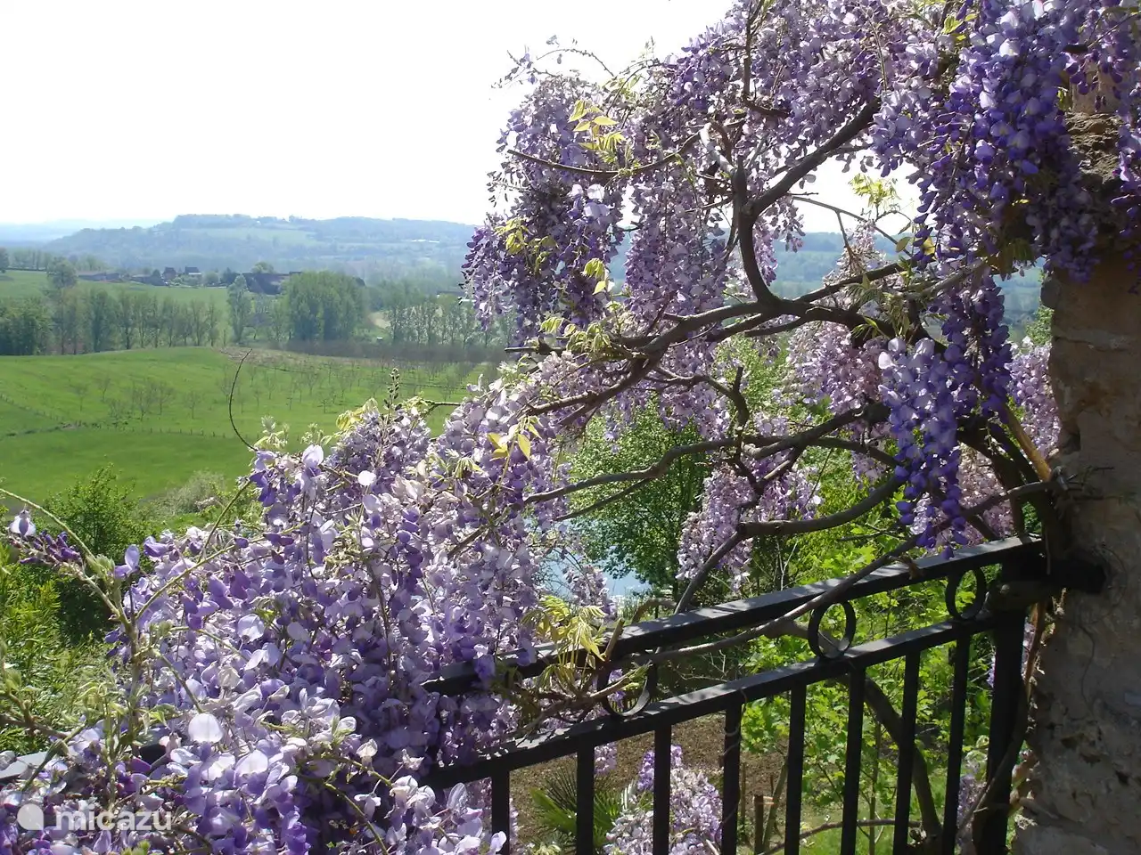 Blick von der Terrasse