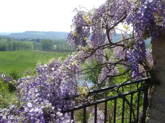 Le Sagitaire | France, Dordogne, Tourtoirac - ferme Vue de la terrasse