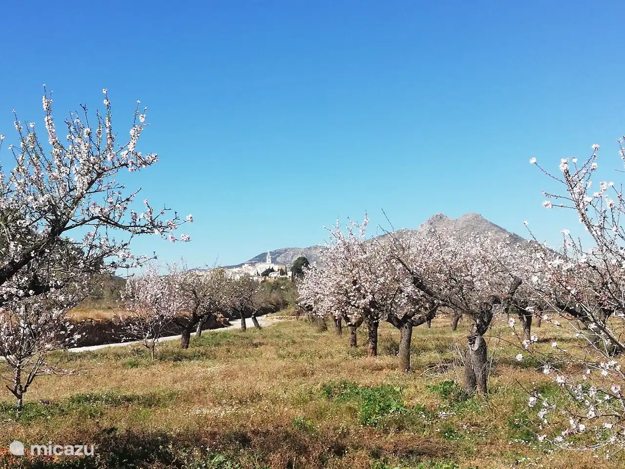 J&#225;lon-Tal: Vall de Pop