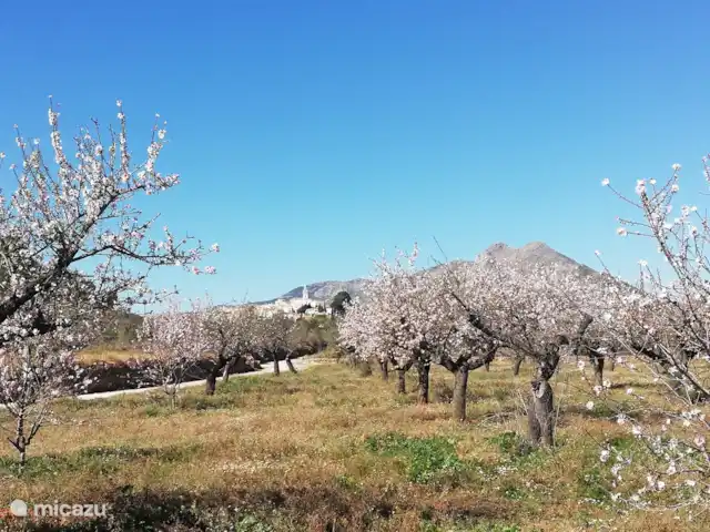 Casa Infinito 1 en España, Costa Blanca, Pedreguer  - villa Valle de Jálon : Vall de Pop