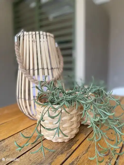 Dekoration des Essbereichs im Freien