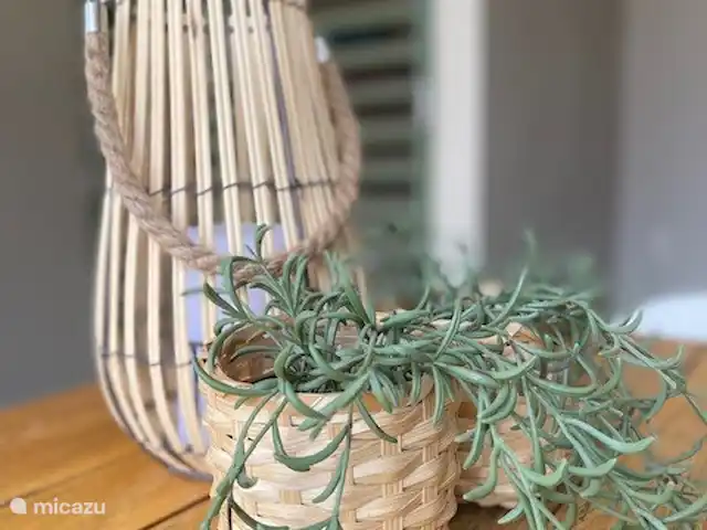 vakantiehuis huren in Aruba, Oranjestad, Seroe Blanco – Casa Charlie Decoratie eethoek buiten