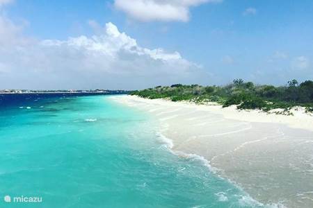 Kleines Bonaire