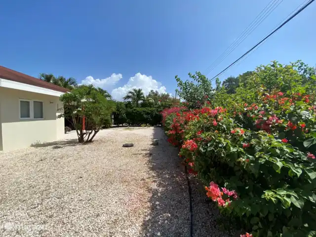 Location de Vacances Curaçao, Banda Ariba (est), Montan'i Rei, maison de vacances - Maison Bon Bida 29 Cour