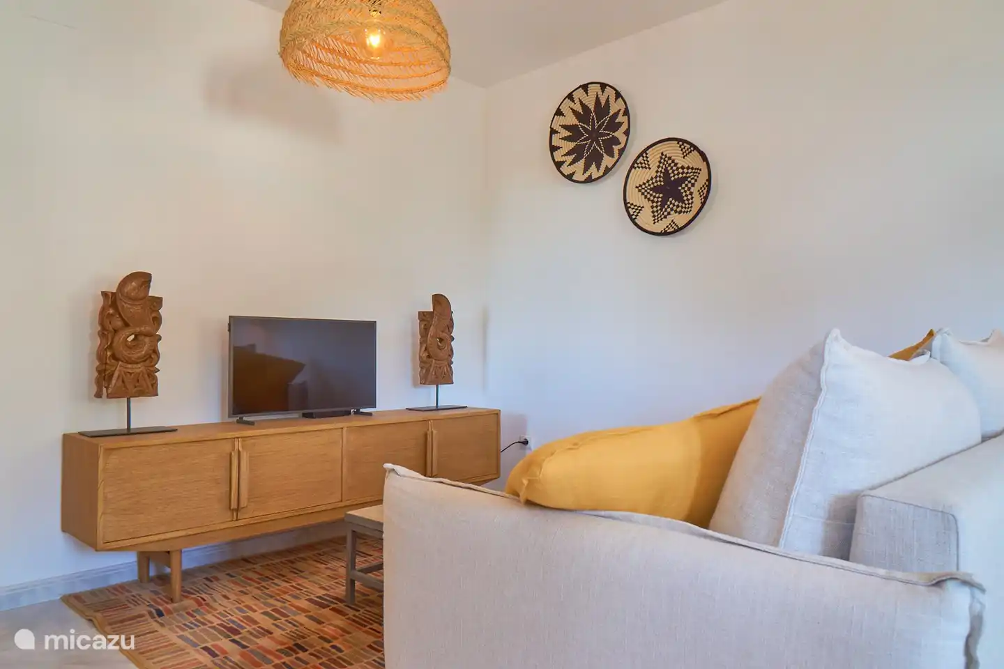 TV coin salon smart TV