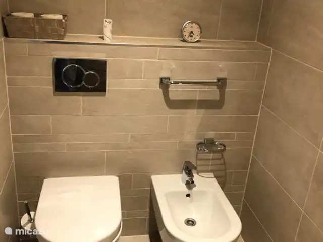 Top villa in Frankrijk huren in Frankrijk, Ariège, Daumazan-sur-Arize - villa toilet en bidet