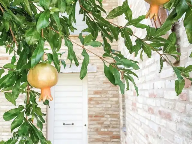 Villa Rilasati en Italia, Marche, Mogliano - apartamento Villa Rilasati