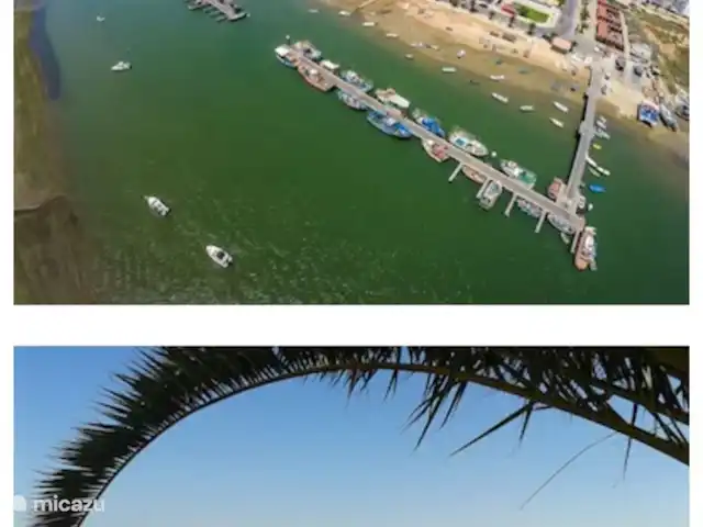 Location de Vacances Portugal, Algarve, Santa Luzia, maison de vacances - Casa Pescaría