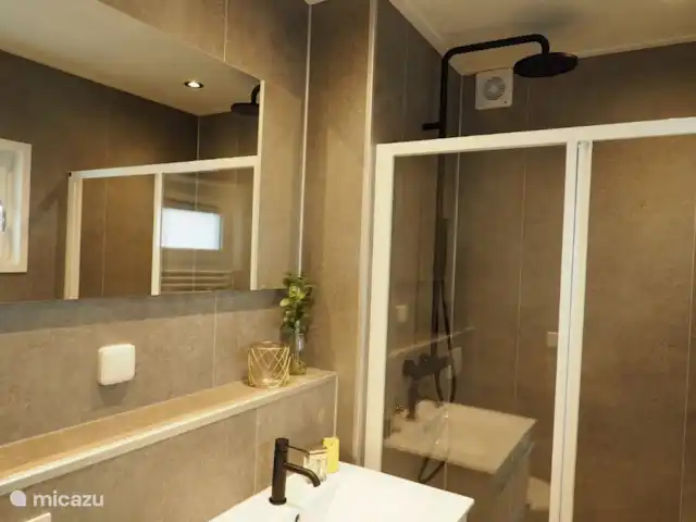 Location de Vacances Pays-Bas, Gueldre, Wells, chalet - Huisje de Berk - Moderne Avec Sauna Salle de bain spacieuse avec douche
