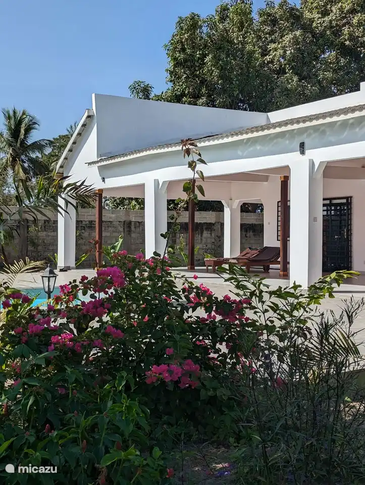 Die Sonnenliegen laden zum Entspannen nach einem Bad im Pool oder einfach zum Entspannen ein