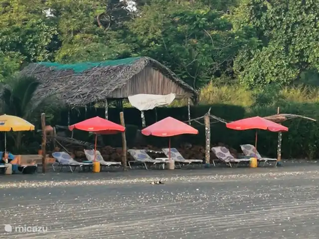 Maison du jardin fleuri | Gambie, Région côtière, Sanyang - villa Un bel endroit très calme et une excellente cuisine
