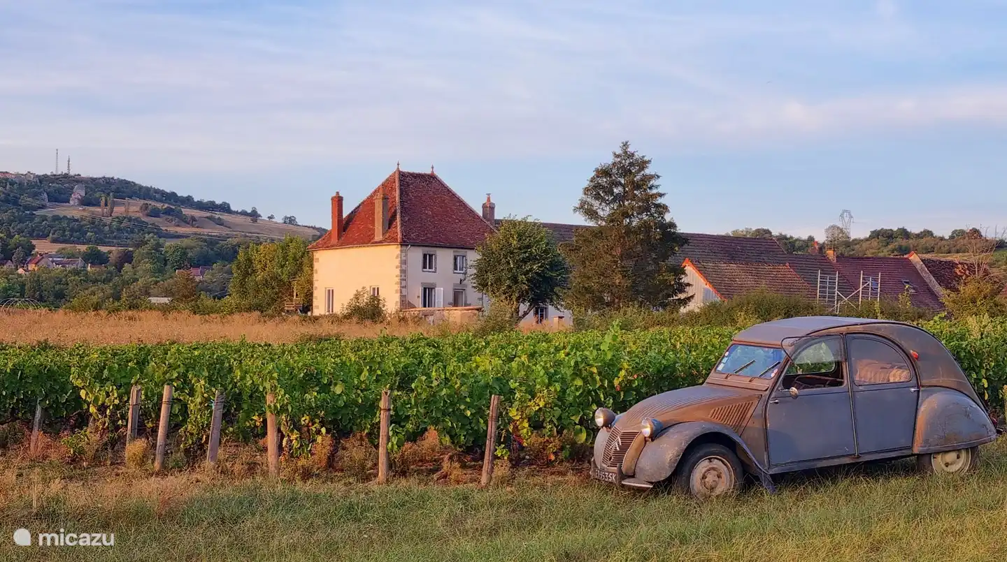 Hendrik & Marly Van Asselt