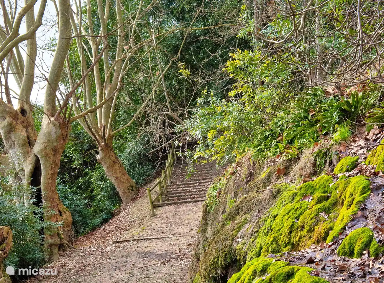 Der Wanderweg entlang der Abtei.