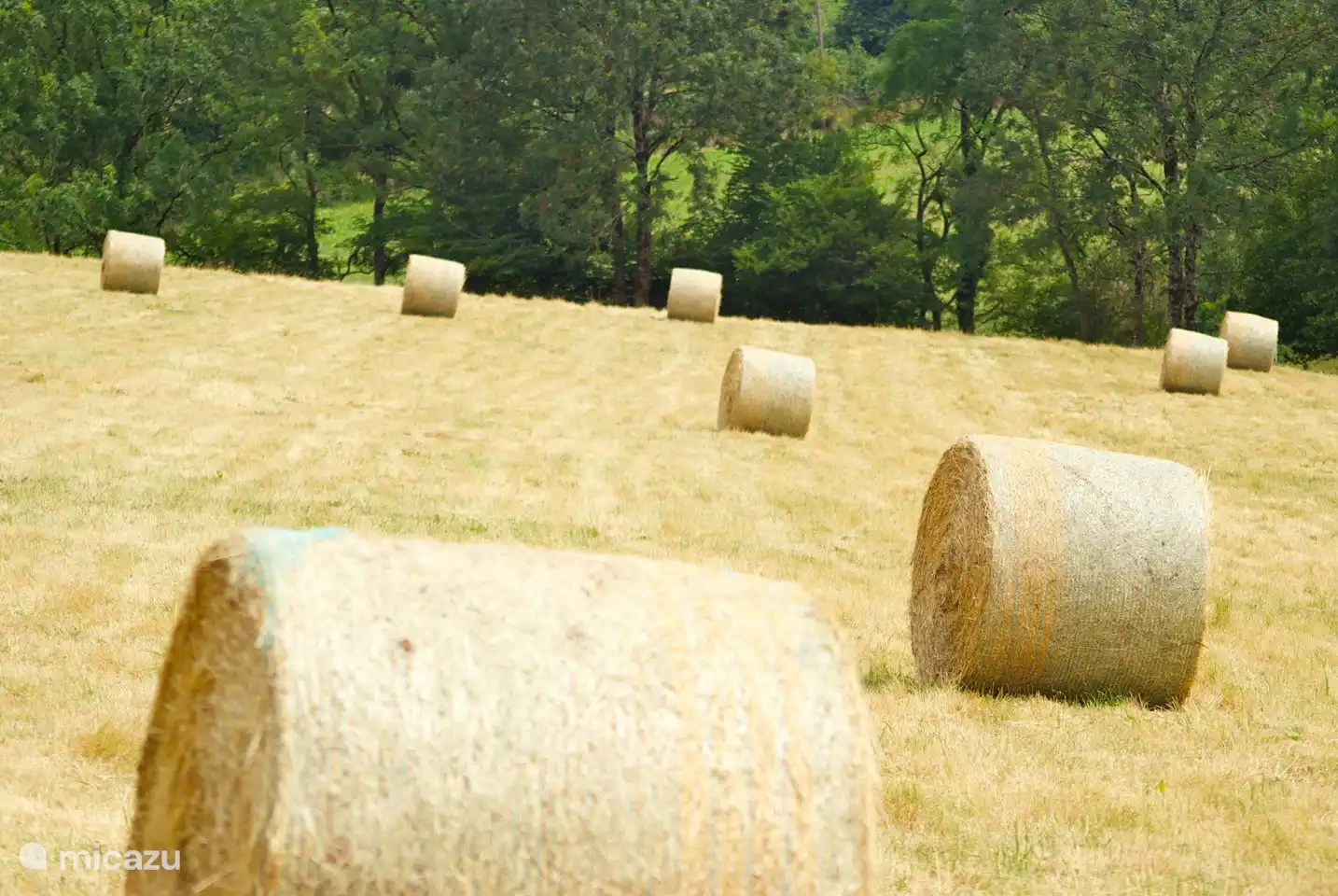landwirtschaftliche Umgebung