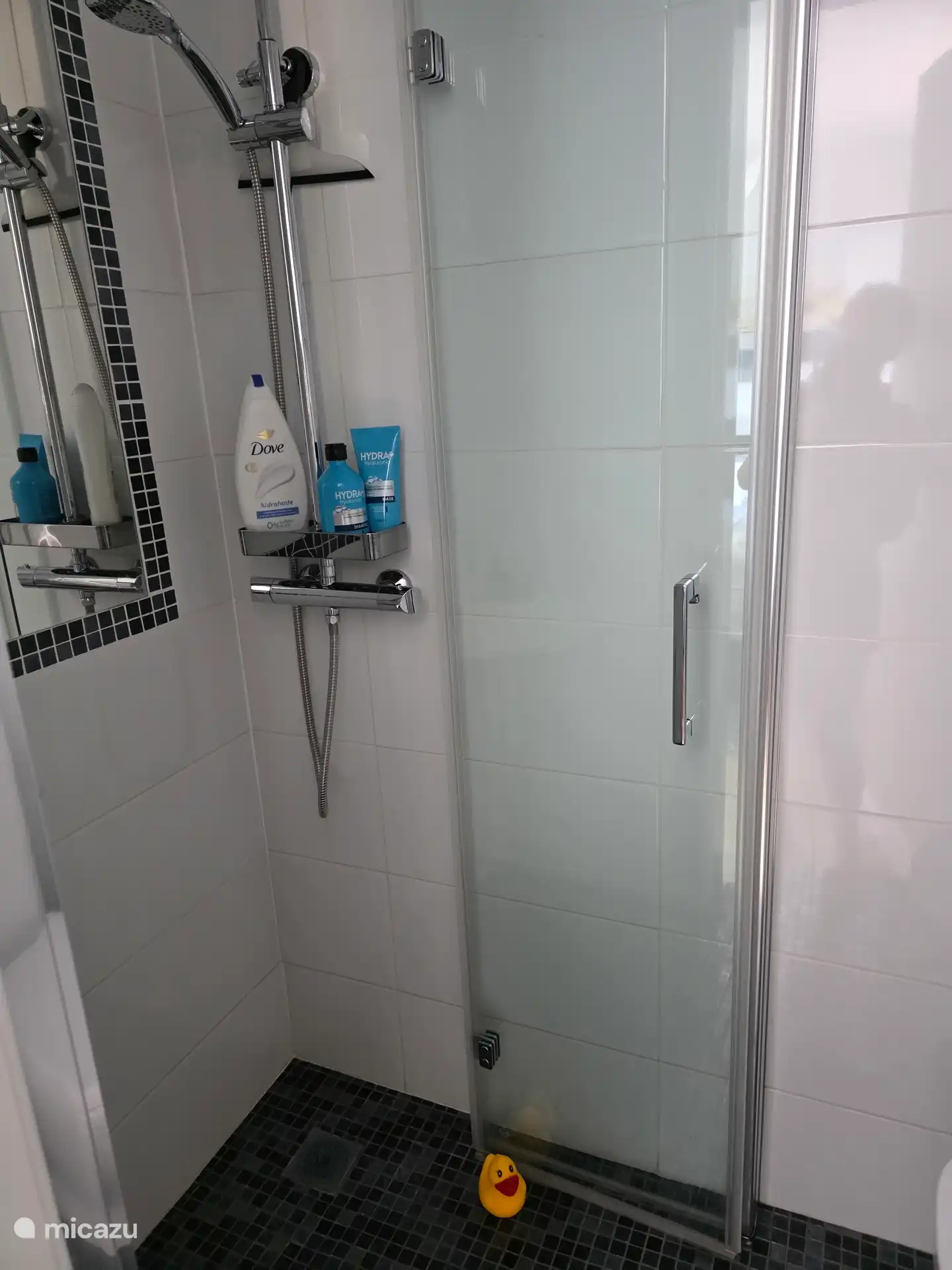 Gastentoilet