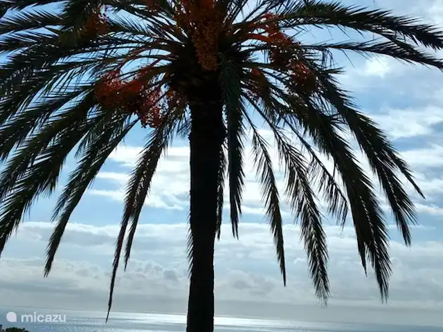 Maison de l'HEA | Espagne, Costa del Sol, La Cala de Mijas - villa Voir