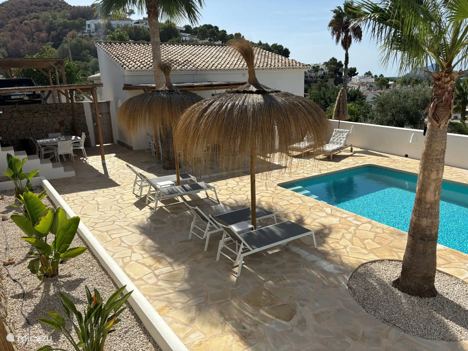 Enough privacy around the pool...