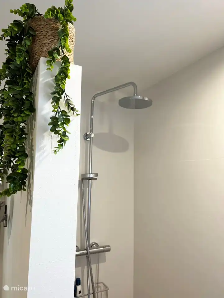 Wonderful rain shower and hand shower.