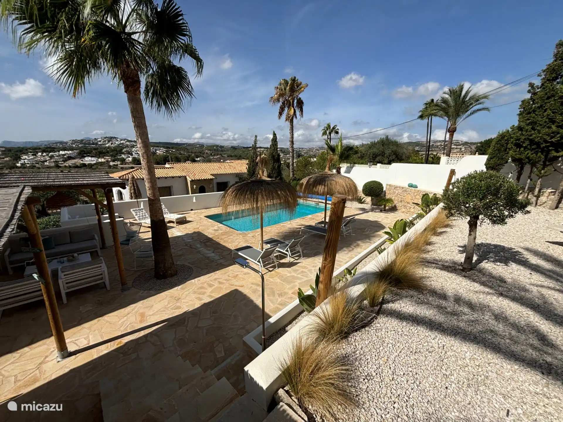 Wonderful shade from one of the palm trees in the garden