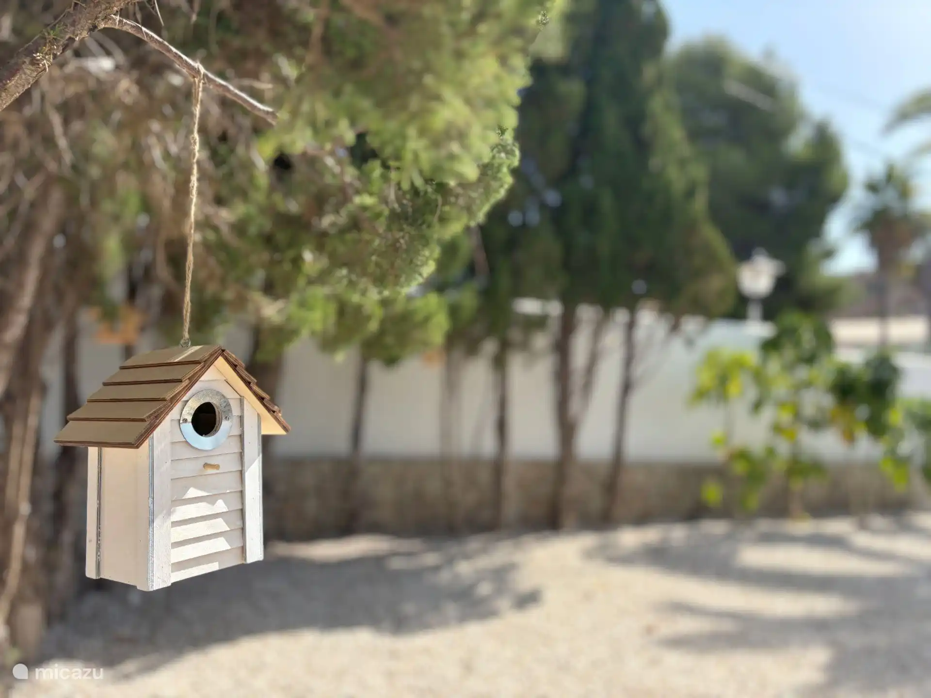 Have you been able to discover the different birdhouses yet?